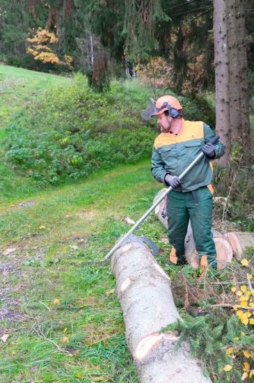 Holzmann WEHA1 Wendehaken