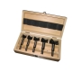 Holzmann FBS5TLG Kunstbohrer Set mit HM Bestückung