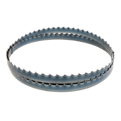 Holzmann BSB810SMARTB35_T22 Bandsägeblatt 4004x35x1mm T 22mm f. Nass