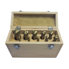 Holzmann FFS10 Schrupp Schraftfräser Set Holzmann FFS10 Schrupp Schraftfräser Set